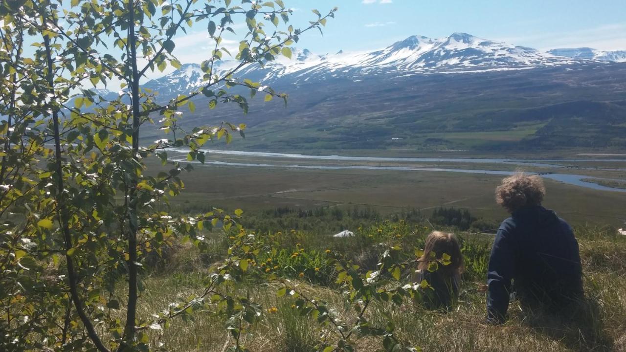 Iceland Yurt อาคูเรย์รี ภายนอก รูปภาพ