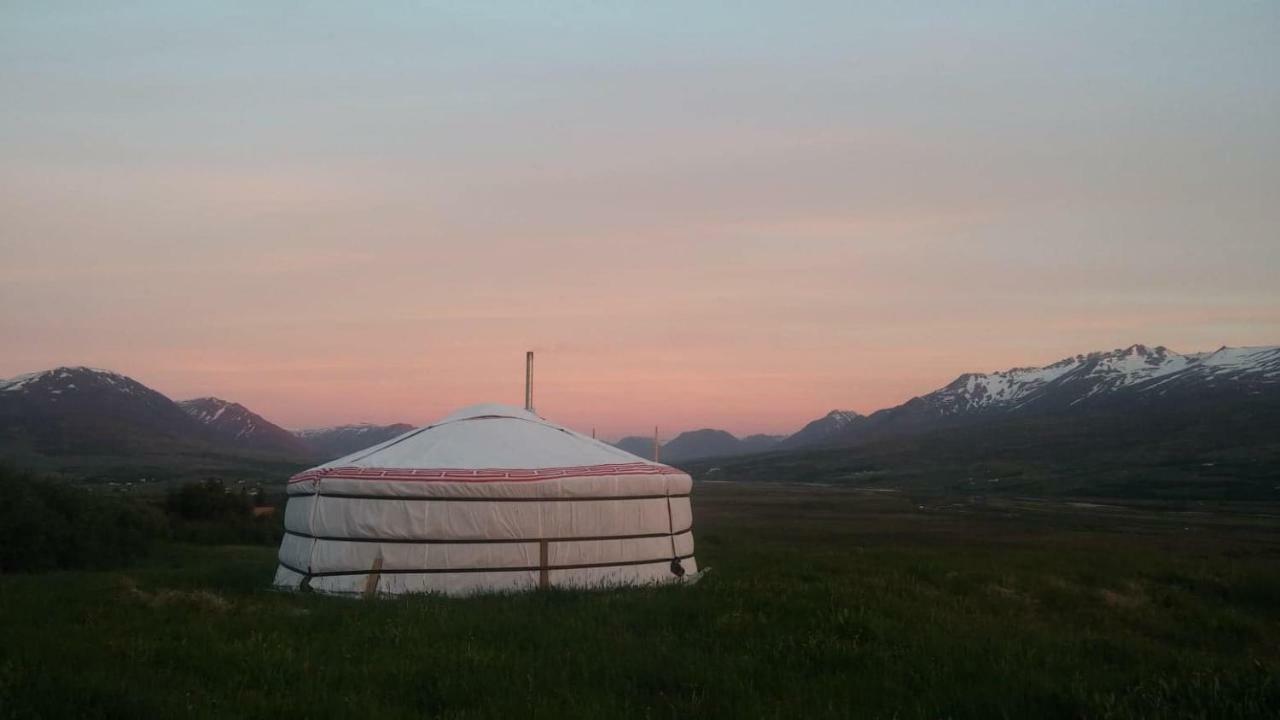 Iceland Yurt อาคูเรย์รี ภายนอก รูปภาพ